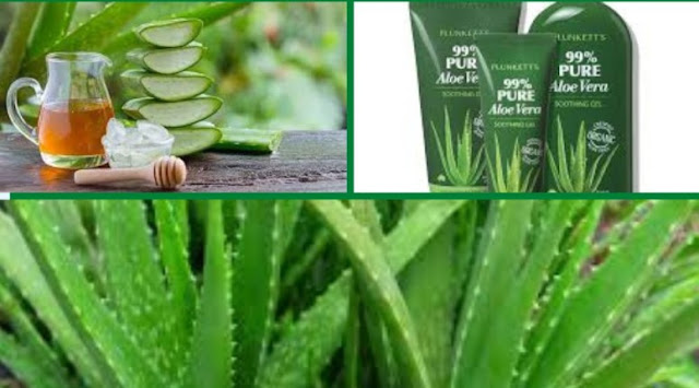 Benefits of aloe vera and its benefits are detailed below