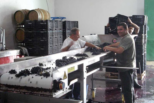 Clotás M. Un Monastrell con personalidad de Bodega Flors