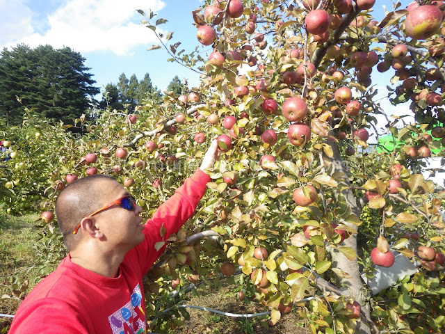 Fushoushan Farm apple picking