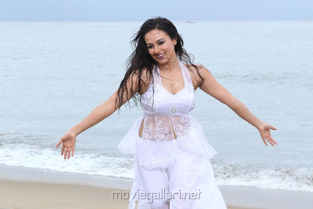 sana khan Nadigayin Diary Movie