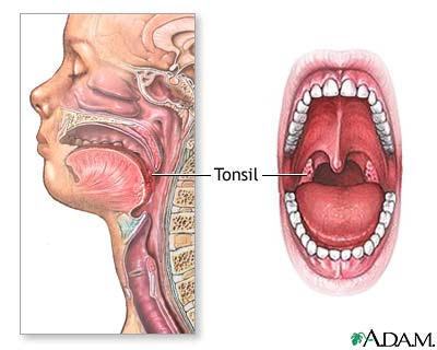 9 Bagian Tubuh Manusia Yang Tidak Diketahui Fungsinya [ www.BlogApaAja.com ]