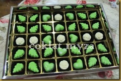 Coklat Myza 19.3.2011 071