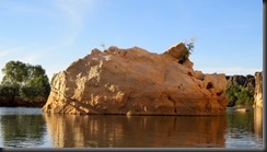 170529 093 Fitzroy Crossing Geikie Gorge NP Boat Trip