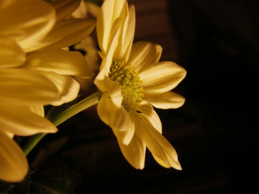DSCF6600b