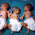 Nawada News : कौतूहल, दो महिलाओं ने दी एक साथ 3_3 बच्चों को जन्म, 28 दिन में दूसरी बार आया इस प्रकार का मामला, पीएचसी वारिसलीगंज में हुआ सामान्य प्रसव, सभी बच्चे स्वस्थ