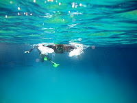 diving at lake above sea