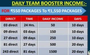 Direct Team Booster Income