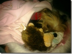 JunieBsleeping