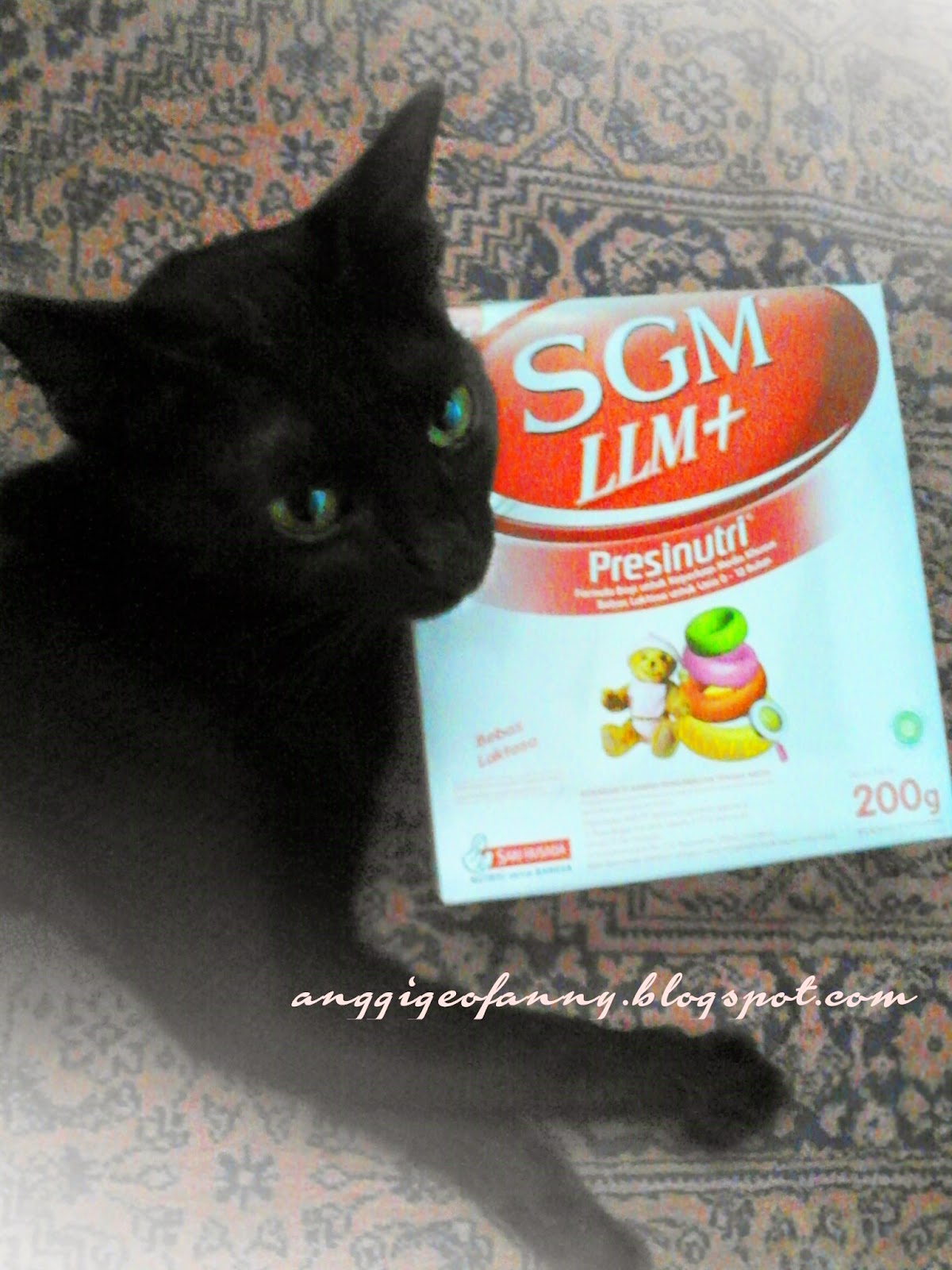 Anggie AnotherLife REVIEW Dan CURHAT Susu SGM LLM Untuk Kucing