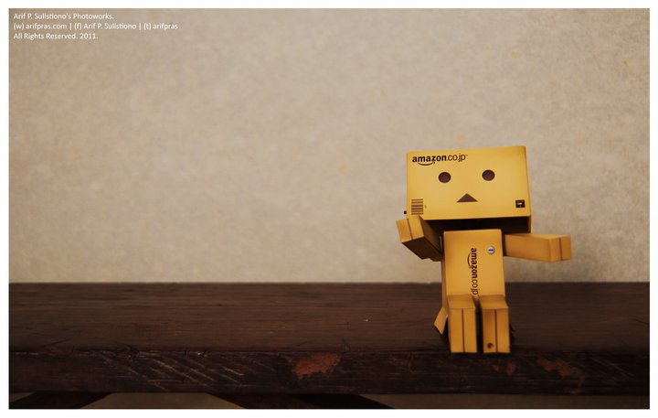 inii beberapa gambar boneka danbo koleksi gue silahkan dilihat lihatt 