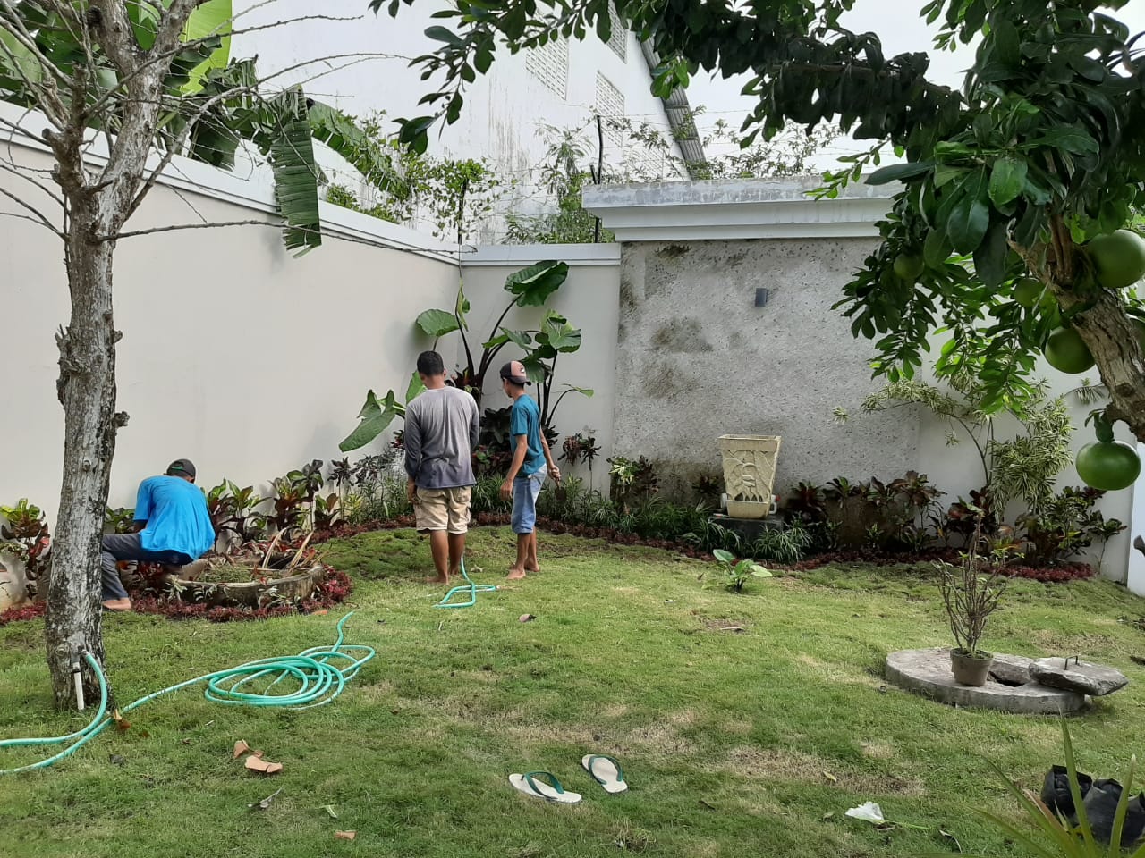 JOGJA TAMAN Tukang Taman Jogja Design Taman Dan Kolam Minimalis