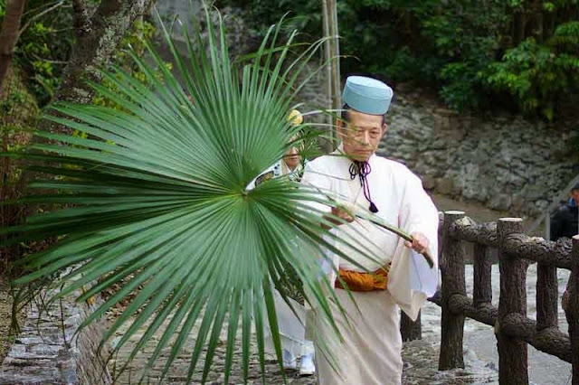 man carrying special leaf known as kuba