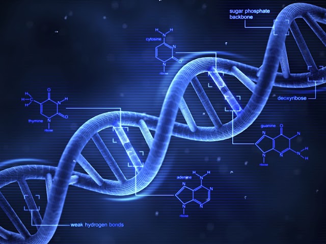    Η ΑΛΗΘΙΝΗ ΙΣΤΟΡΙΑ ΜΑΣ ΕΙΝΑΙ ΧΑΡΑΓΜΕΝΗ ΣΤΟ DNA ΜΑΣ