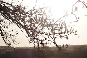 autumn photography in the Norfolk countryside