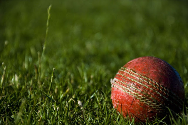 Cricket ball on green grass