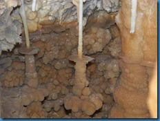 2012 06 23 Grelot Cochon Sergent (83)_800x600
