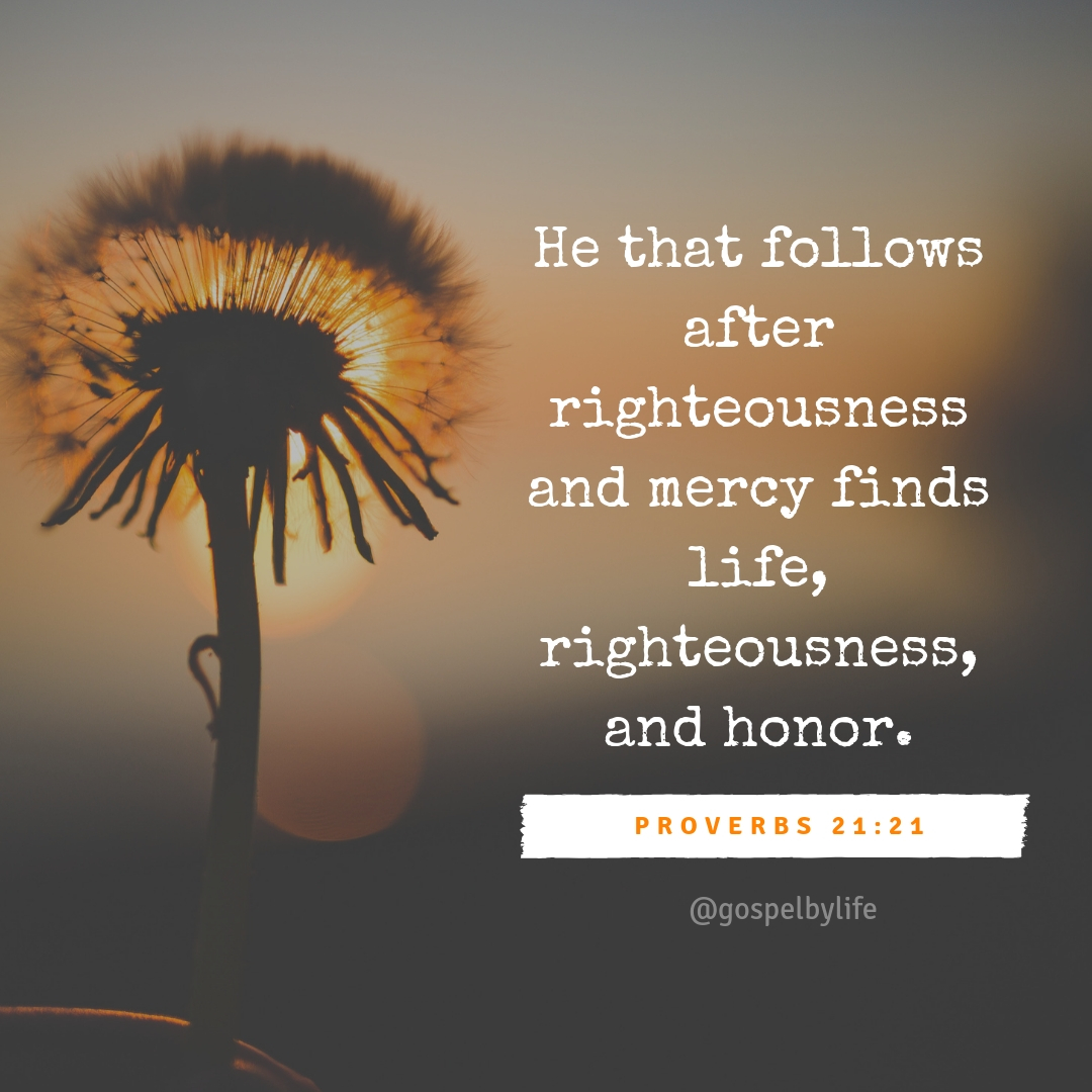 God's Word Picture of the Day - Proverbs 21.21