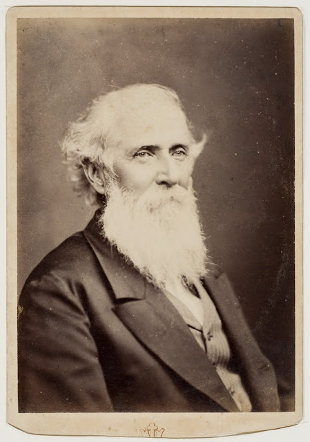 Sir John Robertson, between 1875-1894 / photographer J. Hubert Newman