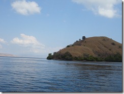 DSC04577