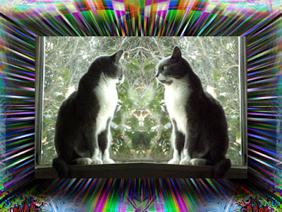 Original Psychedelic Art by Greg Vanderlaan - Trippy CAT pictures - Mushroom Visions - Magic Art