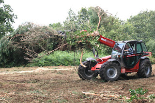 Déboisement coupe des arbres