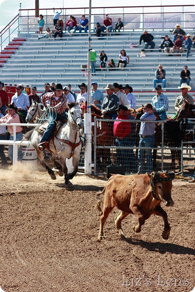 Rodeo 2010 (244 of 282)