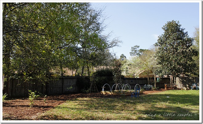 yard_edited-1