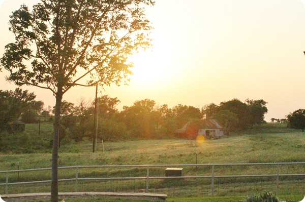 mid May 079