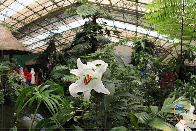 Flower Exhibition Centre, Gangtok, Índia