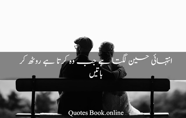 20+ Excellent Husband wife Quotes in Urdu and English