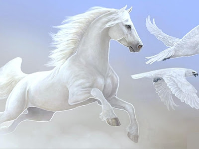 LATEST HORSE HD WALLPAPER FREE DOWNLOAD 06