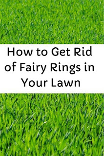 How to Get Rid of Fairy Rings in Your Lawn