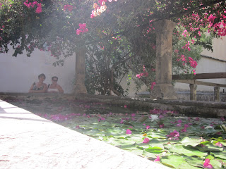 Jardines del Obispado de Mallorca