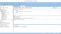 Sql Developer Execute Stored Procedure