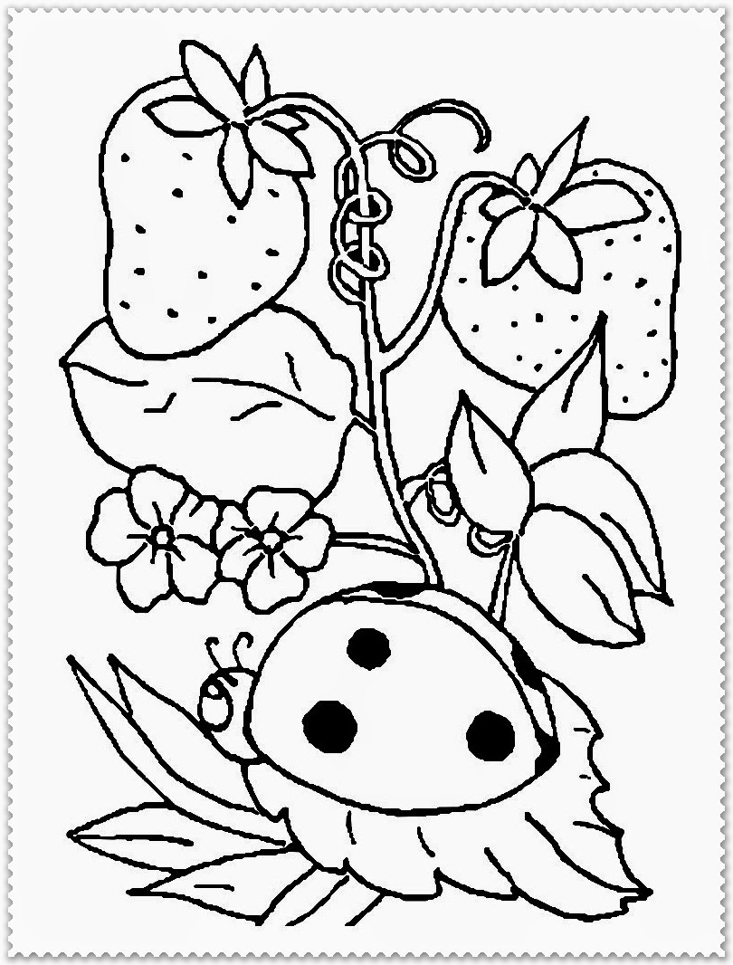 spring activities coloring pages spring animals coloring sheet