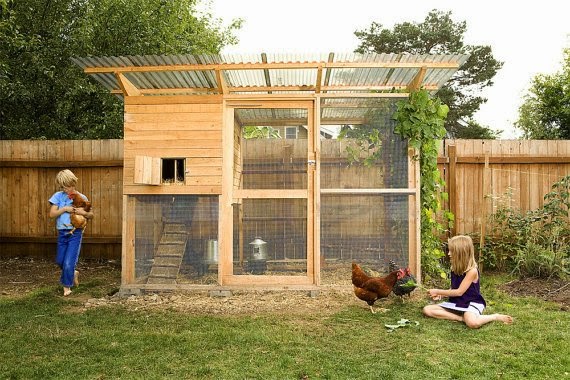 https://www.etsy.com/listing/189067405/the-garden-coop-the-basic-coop-chicken?ref=favs_view_1