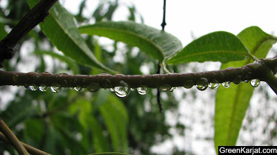 karjat in the rains