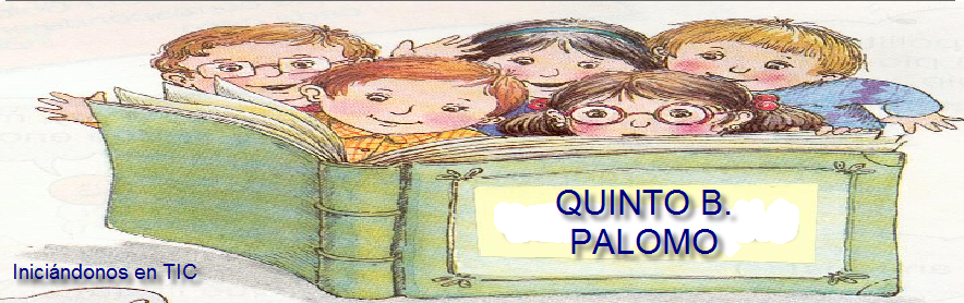 QUINTO PALOMO