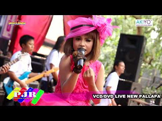 Tasya Romalla & New Pallapa - Anak yang Hilang ( Live Binuang ).mp3