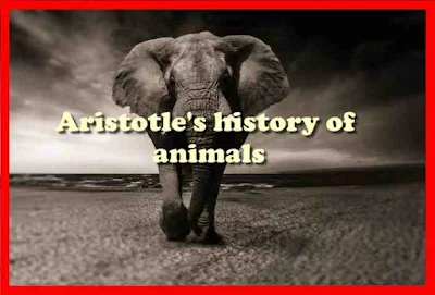 Aristotle's history of animals