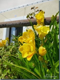 P1080505