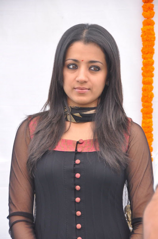 Trisha Latest Cute Stills Photoshoots In HQ Format Pics glamour images