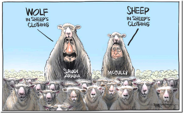 McCully-sheep-in-wolfs-clothing