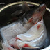 HomeKreation - Kitchen Corner: Kek Lapis Sisik Ikan (Scale 