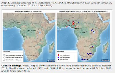 http://www.fao.org/ag/againfo/programmes/en/empres/HPAI_Africa/situation_update.html?utm_source=twitter&utm_medium=social%20media&utm_campaign=faoanimalhealth