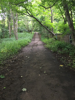 The trail path in Corstorphine hill.