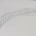 How to Draw or Sketch Long Curved Indica Type Leaf #3