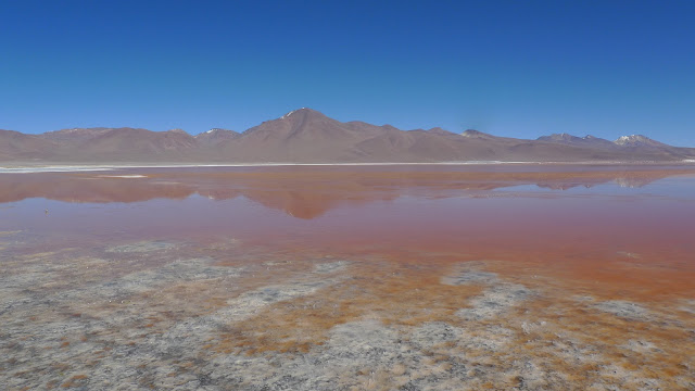 Sud Lipez, Laguna Colorada, rive Est