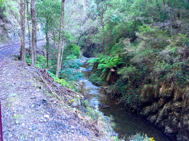 Walhalla Goldfields Railway 