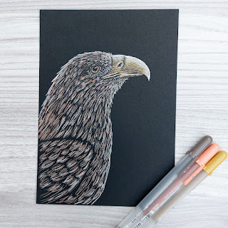 Sea Eagle drawn on black paper with Sakura Gelly Roll Moonlight Cosmos pens